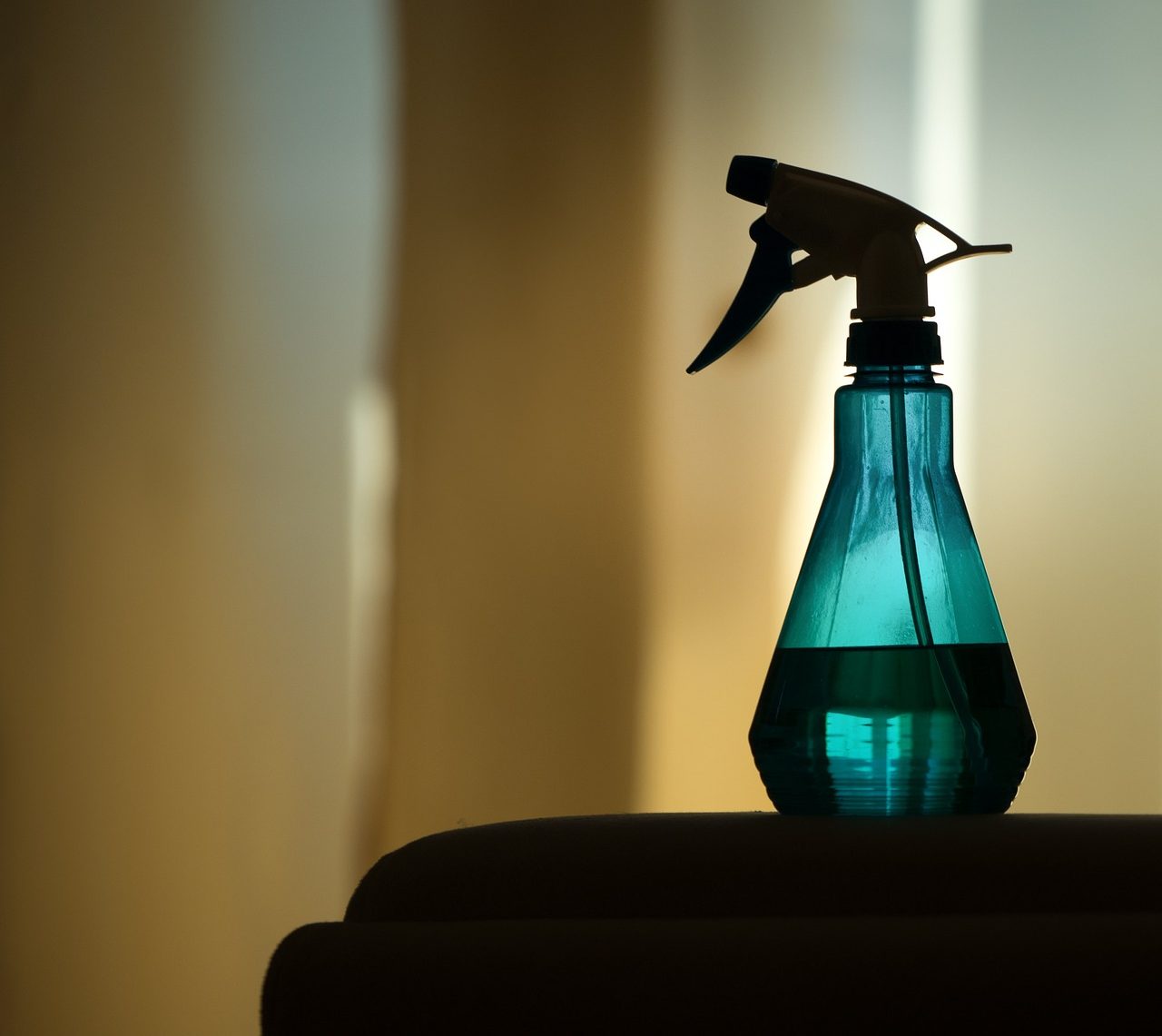 sprayer, atomizer, water-2356034.jpg